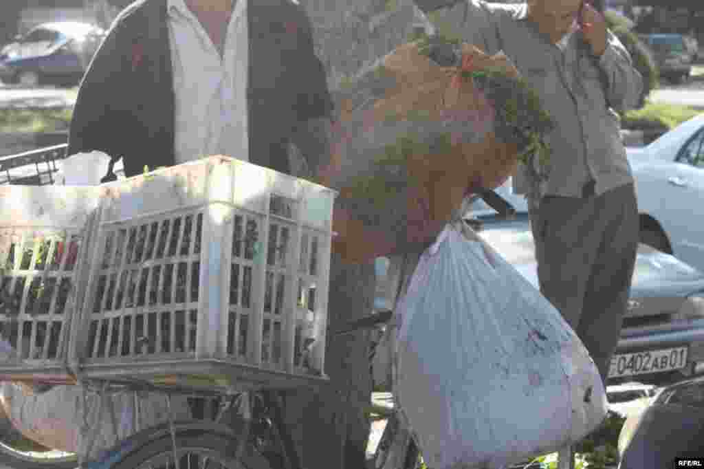 Дар орзуи арзонӣ #30