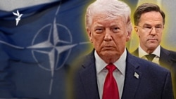 Президент США Дональд Трамп и генеральный секретарь НАТО Марк Рютте (коллаж) 