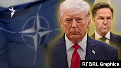 Президент США Дональд Трамп и генеральный секретарь НАТО Марк Рютте (коллаж) 