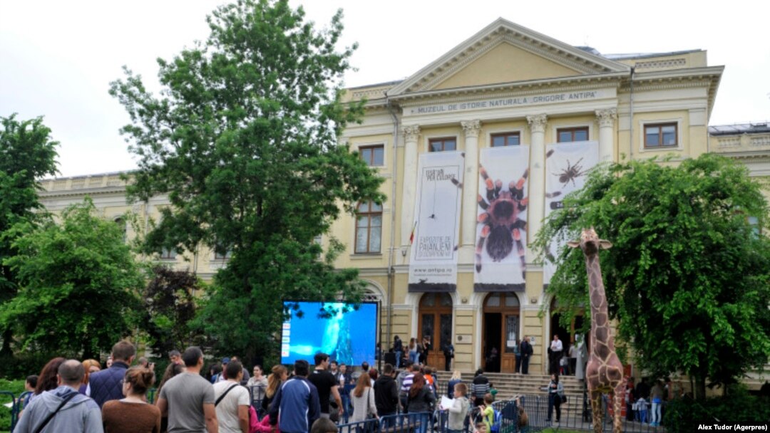 Propunerea ca Muzeul Holocaustului să fie construit în curtea Muzeului Antipa a fost făcută de Institulul „Elie Wiesel”