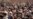 Kazakh Activists Rally In Almaty