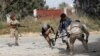 A UN official has estimated there have been at least 20,000 foreign fighters and mercenaries in Libya over recent years, including Russians, Syrians, Sudanese, and Chadians.