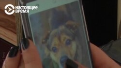 Tinder для собак: как это делают в Литве