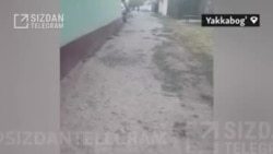 ҚАШҚАДАРЁ – “Кўчаларимизга шағал тўшашда ҳам айирмачилик қилинди”