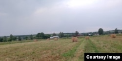Мордовские поля
