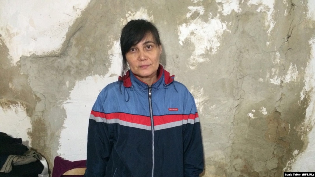 DP порносы бар жаңа сайт