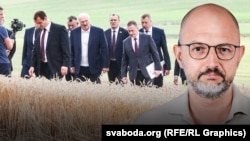 Чаму ўборачную ў Беларусі ператвараюць у цырк