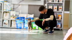 A ales pacea: Povestea unui tânăr din Israel, medic veterinar la Chișinău