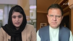 زاخېلوال: د جمهوریت د سقوط اصلي لامل اشرف غني دی
