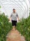 Kosovo women agriculture