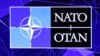 13 членов НАТО заявили о намерении совместно закупать ПВО