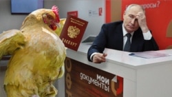Коллаж: президент России Владимир Путин, курица и филиал многофункционального центра