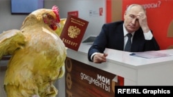 Коллаж: президент России Владимир Путин, курица и филиал многофункционального центра
