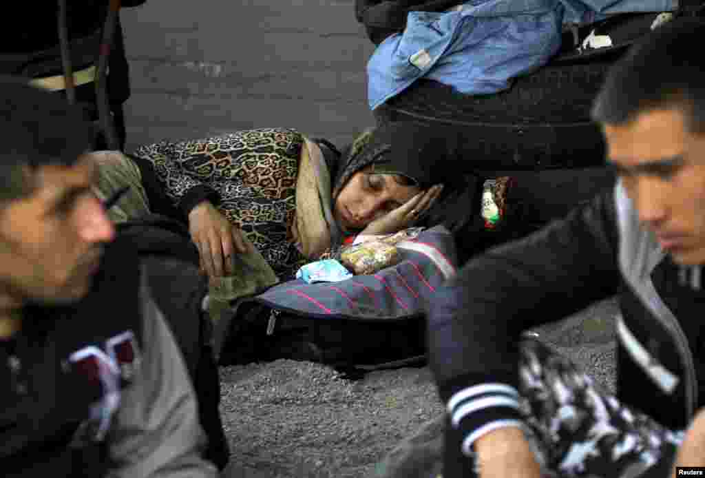 Сирийские иммигранты&nbsp; &nbsp;