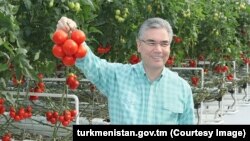 Türkmen häkimiýetleri eksport edilýän gök-bakja önümlerinde howply wiruslaryň tapylmagy baradaky habarlar boýunça beýanat bermeýär. (arhiw suraty)