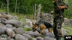 Иллюстративное фото. 