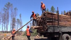 На Луганщині будують третю лінію фортифікації