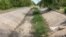 Ukraine -- North Crimean Canal, 2015