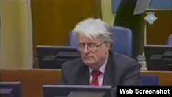 Radovan Karadžić na suđenju u Hagu, 14. veljače 2012.