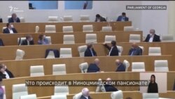 Активисты разбросали листовки в парламенте Грузии