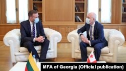 Габриэлюс Ландсбергис и Давид Залкалиани