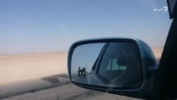 د هلمند بزګران په کال کې اوه ځله کوکنارکري