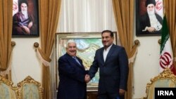 The secretary of Iran's National Security Council, Ali Shamkhani (right) shakes hands with Syrian Foreign Minister, Walid al-Muallem during his visit from Tehran. February 05, 2019.