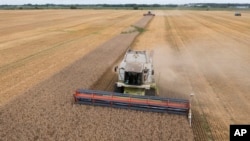 Русия обяви, че се оттегля от сделката за износ на украинско зърно през Черно море, постигната преди почти година с посредничеството на ООН и Турция.
