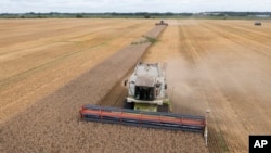 Harvesters collect wheat in the village of Zhurivka, Ukraine. Kyiv has accused Moscow of targeting grain supplies and infrastructure vital to the UN-brokered sea-corridor agreement allowing for the safe shipment of Ukrainian grain from which the Kremlin withdrew last week.