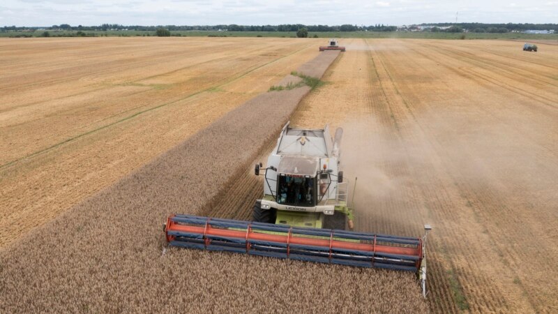 Pet članica EU traže produženje zabrane uvoza ukrajinskog žita
