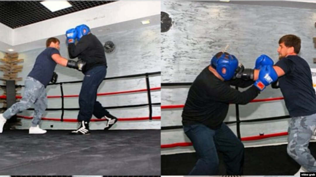 Порно бейнеклиптерді қараңыз