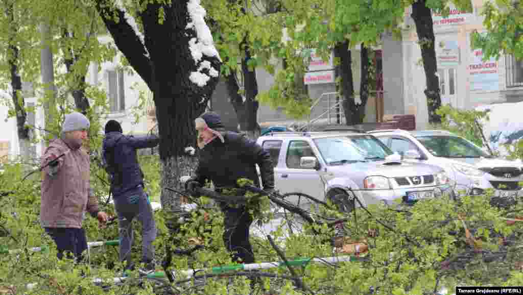 Şi alţi voluntari au apucat de crengi