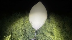 Воздушные шары (метеозонды) такого типа используются для переброски контрабанды из Беларуси. Фото пограничной службы Литвы