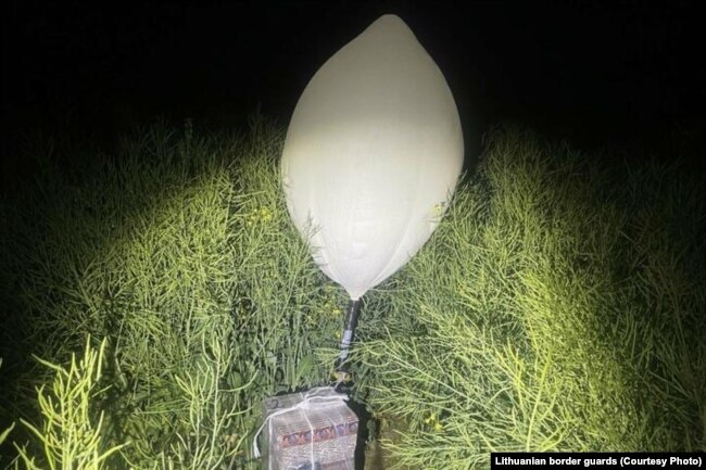 Litva sərhədçilərinin ələ keçirdikləri bu kimi hava şarlarından Belarusdan mal qaçaqmalçılığı üçün istifadə olunur.