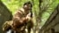 Ukrainian Troops Patrol Kostyantynivka Under Heavy Fire GRAB 1
