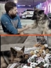'If I Die': Loyal Dog Mourns At Iranian Protester's Graveside