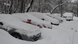Снегопад в Москве. Изучение последствий