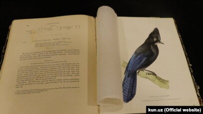 Voyaga etgan sochli ayollar porno qattiq porno