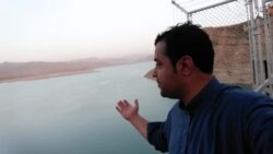 چهل روز از قتل داعی گذشت
