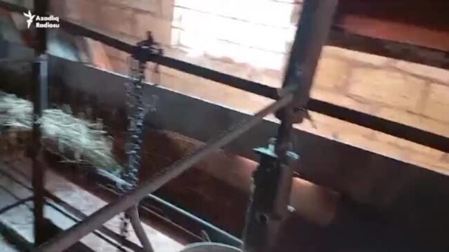 'Örüş yoxdur, hamısını imkanlılar götürüb' - Azərbaycanda heyvandarlıq iflas edir?