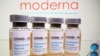 Експерти FDA рекомендували схвалити вакцину Moderna
