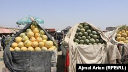 سالانه هزاران تُن تربوز از کشورهای همسایه نیز وارد افغانستان می‌شود.