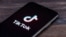 Приложение TikTok в мобильном телефоне.