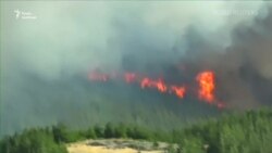 Потужна лісова пожежа вирує в Новій Зеландії – відео