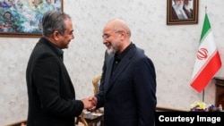 İran parlamentinin sədri Məhəmməd Baqir Qalibaf Tehranda Pakistanın daxili işlər naziri Möhsin Nəqvi ilə görüşür.