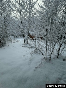 ამბროლაურის მუნუციპალიტეტი, სოფელი ახალსოფელი