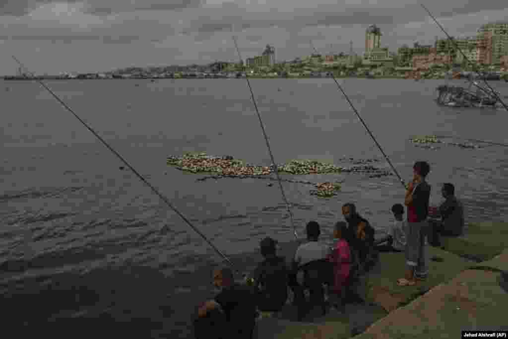 Palestinezë duke peshkuar në portin e Qytetit të Gazës.