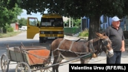 La Capaclia, r.Cantemir