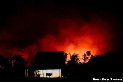 Një ferm pranë një zjarri pyjor në Amazonë, zona e autostradës Trans-Amazoniane BR230 në Labrea, shteti Amazonas, Brazil 4 shtator 2024.