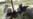 NATO, Afghans Press Kandahar Offensive